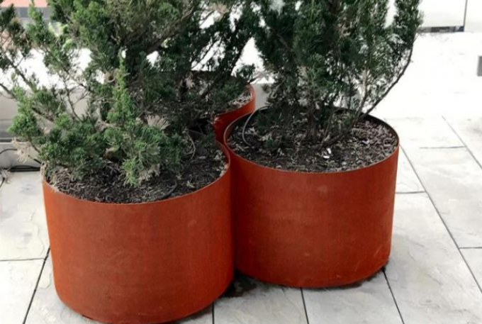 Plantadores redondos de aço da flor do metal de Corten do potenciômetro do cilindro da casa e do jardim