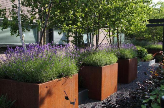 Grandes caixas do plantador de Rusty Square Corten Steel Flower dos potenciômetros do jardim do metal