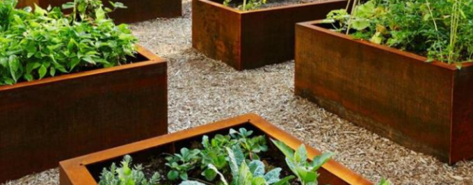 Do plantador sem fundo dos vegetais do metal do jardim cama aumentada de aço do jardim de Corten