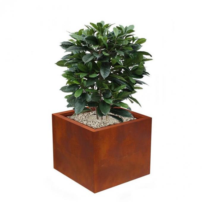 Da caixa direta da planta do metal de potenciômetro da flor do jardim da fábrica plantador de aço de Corten