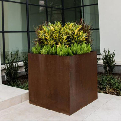 O laser de aço do plantador do cubo do GV TUV Corten cortou a prova da abrasão de Rusty Steel Planters