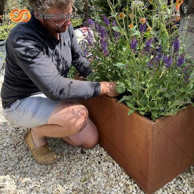 os plantadores vegetais de aço de 1200*500*600mm Corten oxidaram caixas do plantador do metal