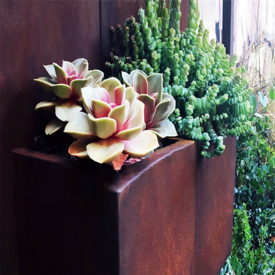 Caixa do plantador do período de aço de Corten do jardim a grande oxidou resistindo ao aço para a casa da quinta