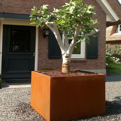 Caixa do plantador do período de aço de Corten do jardim a grande oxidou resistindo ao aço para a casa da quinta