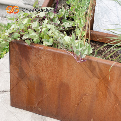 Do plantador exterior baixo pequeno do metal do projeto simples potenciômetro antigo 30cm da planta 40cm