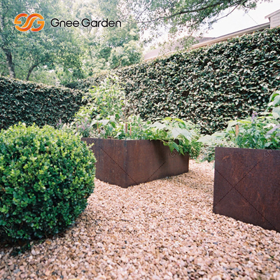 os plantadores vegetais de aço de 1200*500*600mm Corten oxidaram caixas do plantador do metal