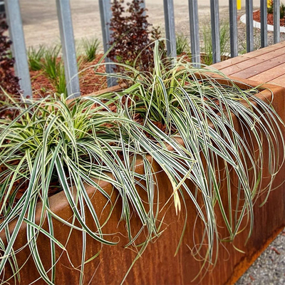 600mm 700mm Tin Planter For Tree Planting retangular 1000mm exterior