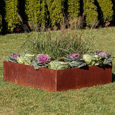 O aço do TUV Corten levantou o costume da cama 65l*65w*30h Cm do jardim pintado