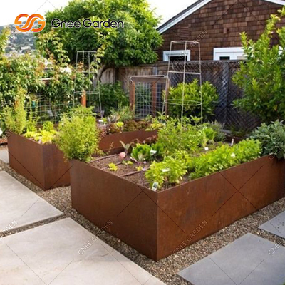 O plantador do jardim do metal da personalização encaixota o plantador de aço da calha de Corten 1200mm