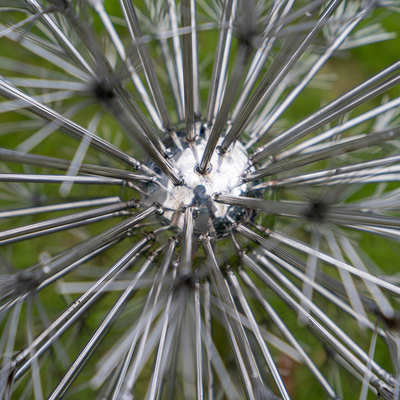 jardim de aço inoxidável de Art Electroplate Dandelion Shape For da jarda 304 316