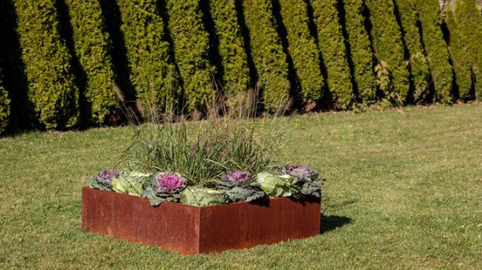 Afiação de aço do jardim de Corten plantadores grandes exteriores feitos sob encomenda da caixa do jardim do metal dos plantadores do potenciômetro de flor dos grandes