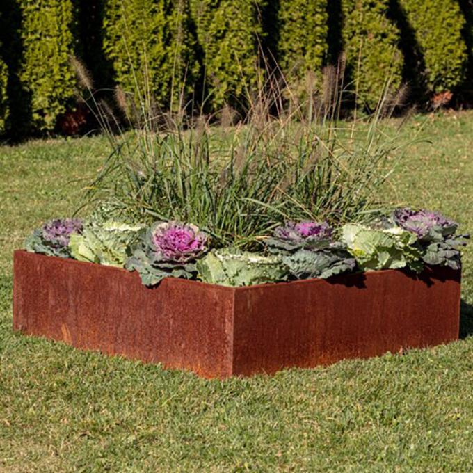 A flor vegetal do plantador do metal que aumenta camas de jardinagem encaixota a borda levantada de aço do jardim